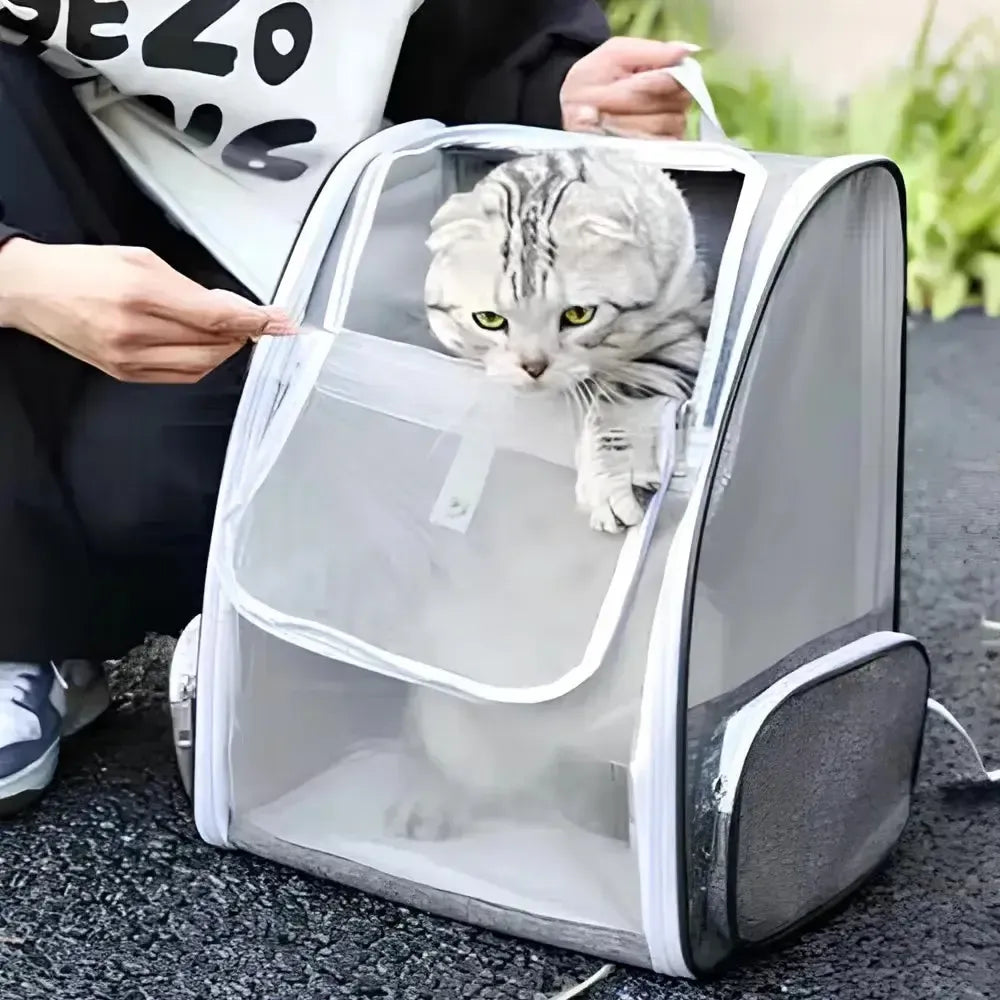 Sac à Dos pour Transporter son Chat