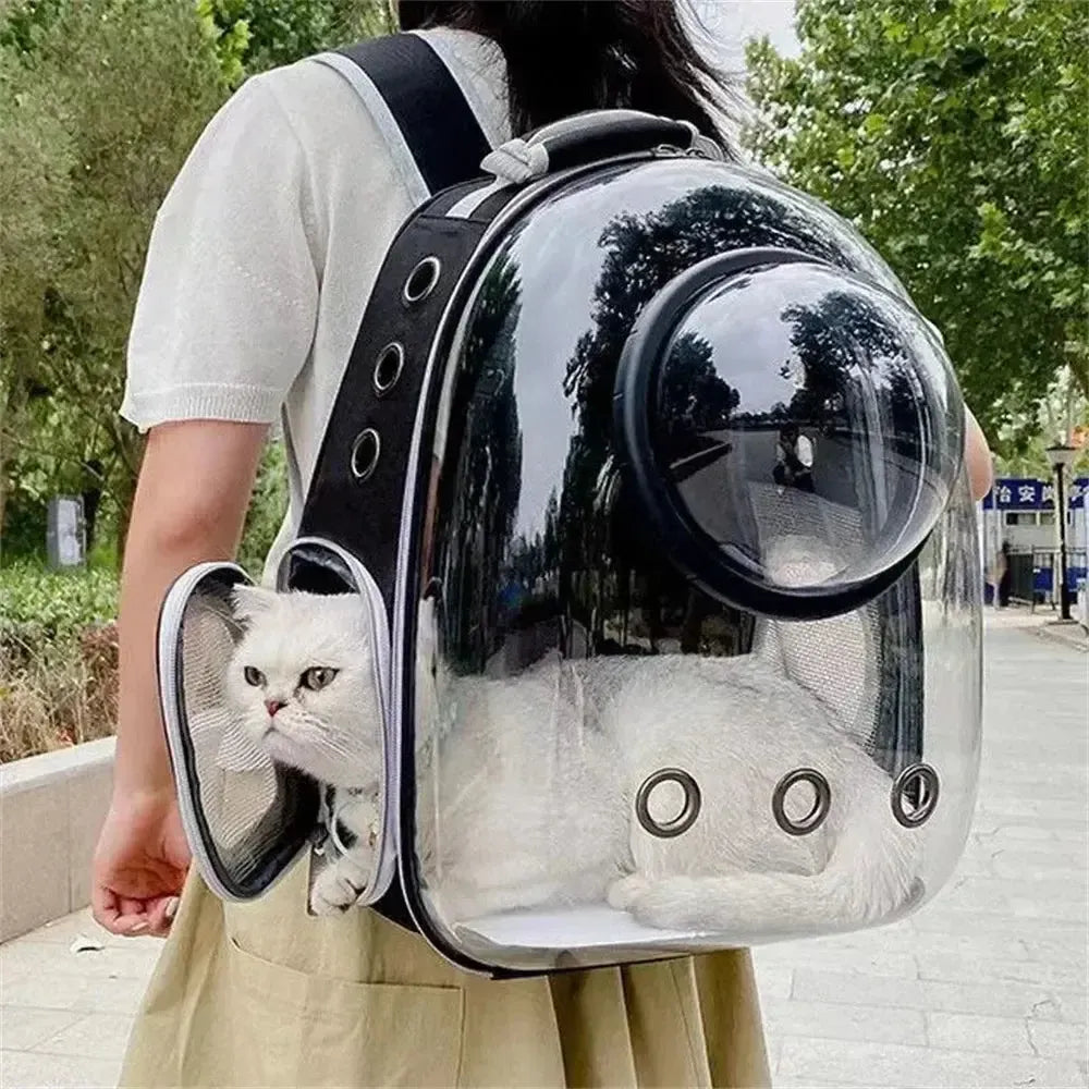 Sac à Dos Bulle pour Chat
