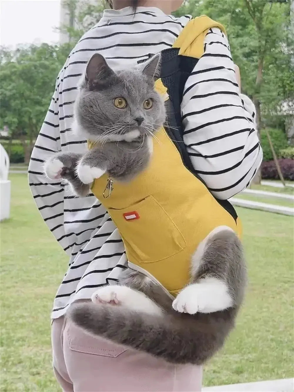 Sac à Dos Promenade pour Chat