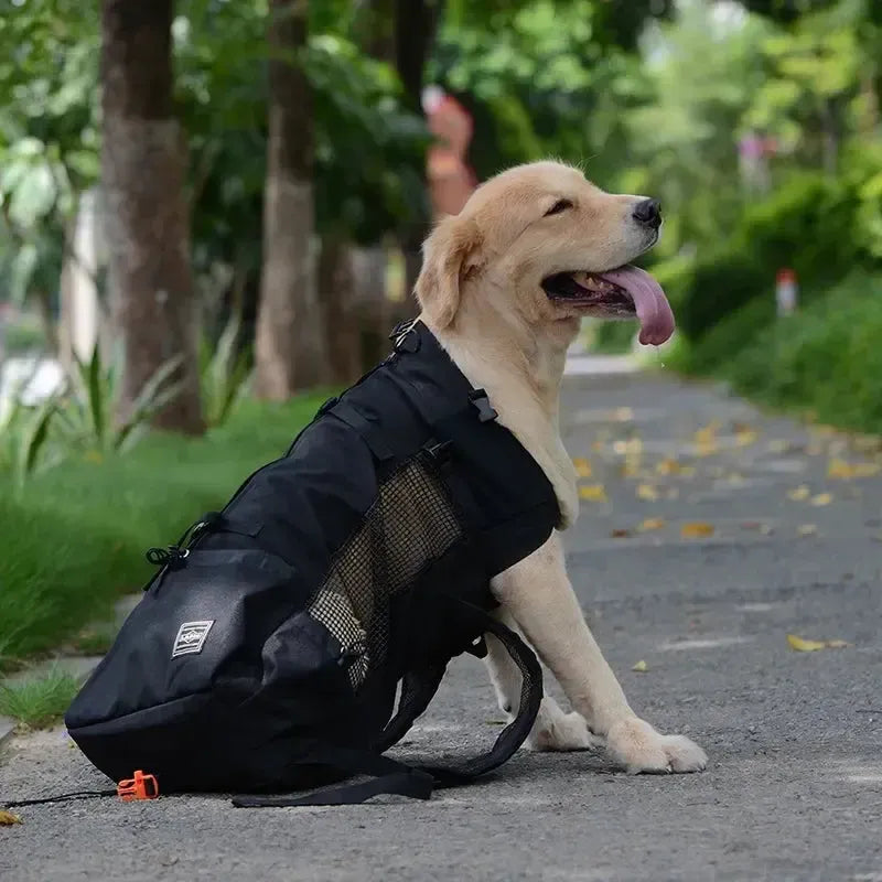 Sac à Dos de Transport pour Chien