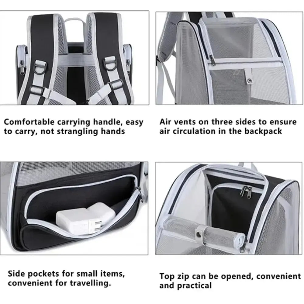 Sac à Dos pour Transporter son Chat