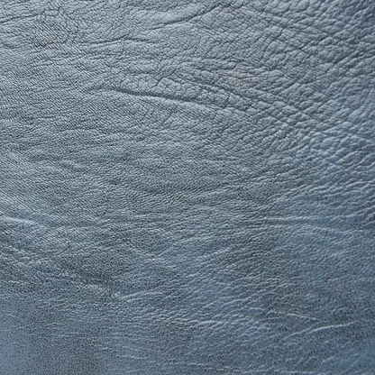 Beau Sac à Dos Femme