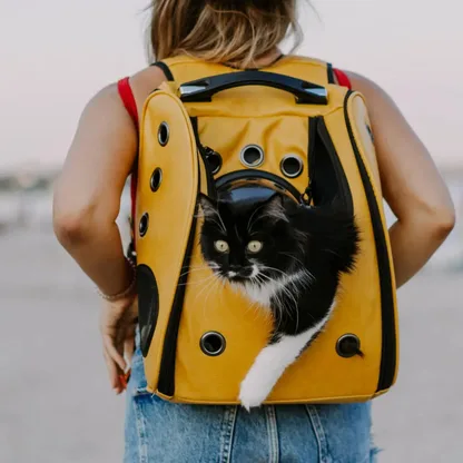 Sac à dos chat