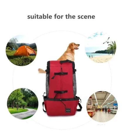 Sac à Dos de Transport pour Chien