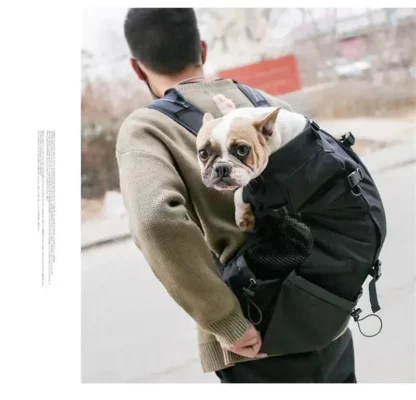 Sac à Dos de Transport pour Chien
