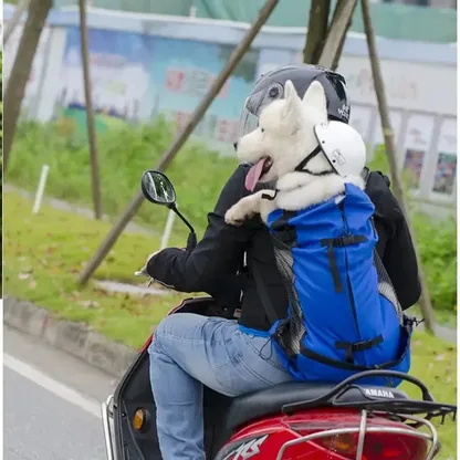 Sac à Dos de Transport pour Chien
