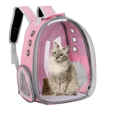 Sac à Dos Transparent pour Chat